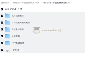 小白同学AI短视频带货2026实战课程 含女装男装童装多品类案例