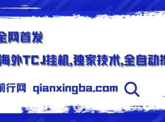 海外TCJ挂机项目实操课程，全自动验证码识别技术分享