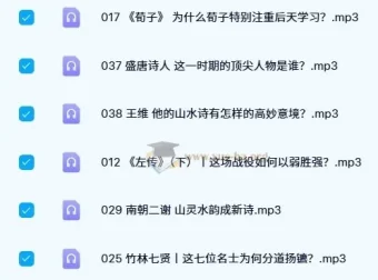 中国文学经典100讲（40集全）音频课程