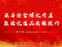 亚马逊全球化开店数据化选品实操技巧课 新手卖家爆款打造指南