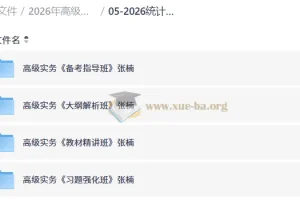 2026年高级统计师备考课程 高级统计实务VIP全套班