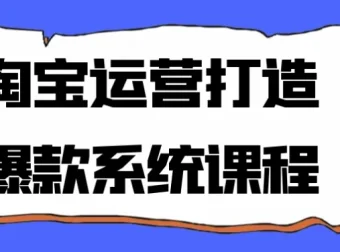 淘宝运营打造爆款系统课程 从选品到推广全流程实战