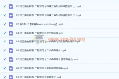施老板施佳辰 2021春 初三中考数学二轮复习11讲 含讲义