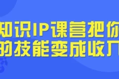 知识IP课营：把你的技能变成收入，从选题到发售全流程实战