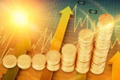 飞云金教《基金策略精讲》课程 从入门到实操的系统基金投资指南