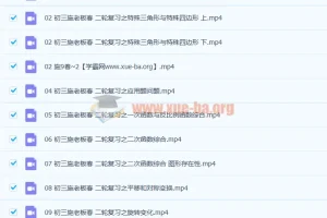 施老板施佳辰 2021春 初三中考数学二轮复习11讲 含讲义