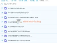 2024高三高考物理 崔春雨寒假班 专题精讲