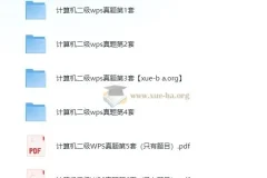 计算机二级WPS真题题库6套 含答案与完整操作素材