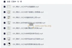 AI做小红书矩阵推广系统 实操课程 从起号到AI批量创作
