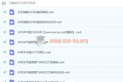 2024高三高考物理 崔春雨寒假班 专题精讲