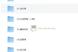 2025年刘晓艳考研英语全程班 完整课程合集