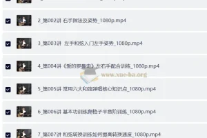 胡sir吉他综合教程 零基础入门到即兴弹唱（150节完结版）