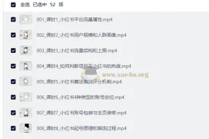 AI做小红书矩阵推广系统 实操课程 从起号到AI批量创作