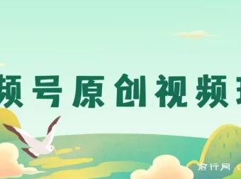 视频号原创视频玩法：儿女祝福类短视频制作与分成计划实操课