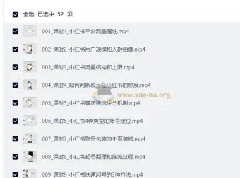 AI做小红书矩阵推广系统 实操课程 从起号到AI批量创作