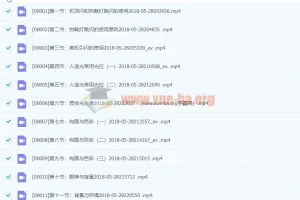 袁洁人像摄影必修课：从用光到后期系统再提高
