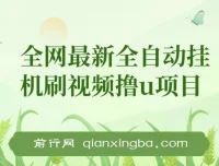 全自动挂机刷视频撸U项目 详细玩法教程与工具打包