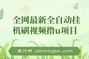 全自动挂机刷视频撸U项目 详细玩法教程与工具打包