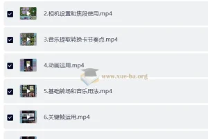 手机运镜剪辑课 从拍摄到后期全流程实战教程