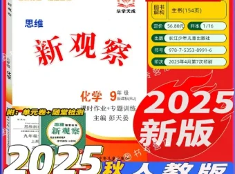 2025版九年级化学《思维新观察》上下册全套资料