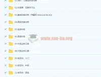 菜菜汪晟口语课2.0：从发音纠音到外贸谈判的系统口语训练