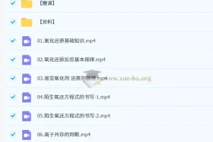 2027高三高考化学 李政暑假班 氧化还原与离子反应专题精讲