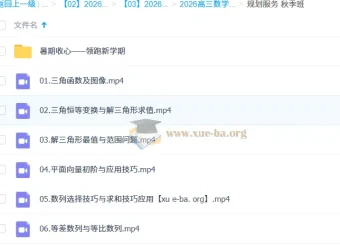 2026高考数学一轮复习 王伟知识视频+规划服务 暑假班秋季班全套