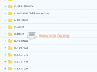 菜菜汪晟口语课2.0：从发音纠音到外贸谈判的系统口语训练